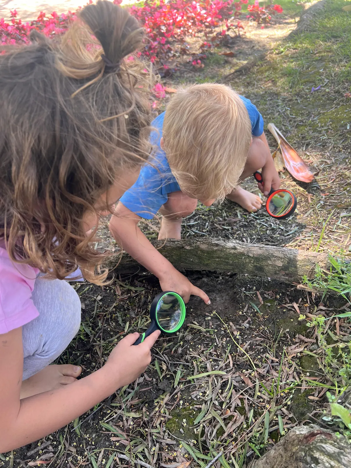 Children studying nature with magnifying glasses outdoors