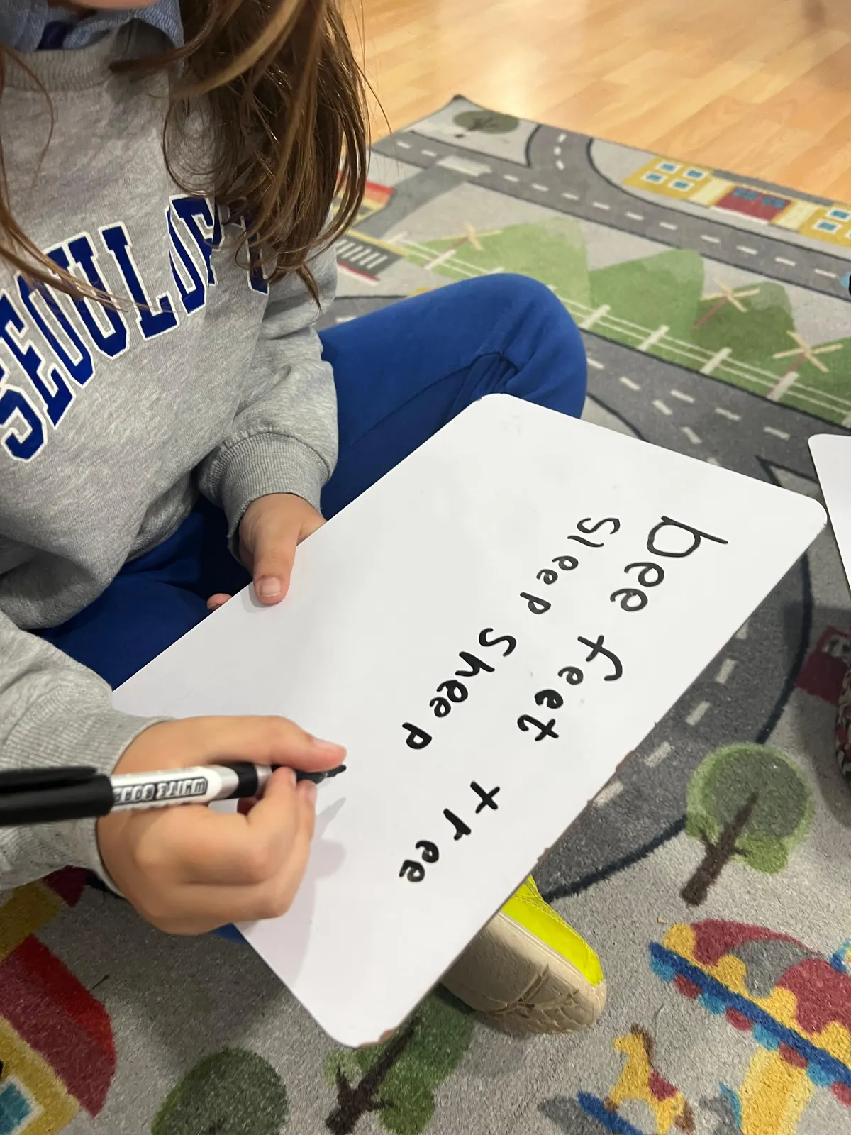 Primer plano de profesores practicando los 44 sonidos con tarjetas y espejos durante una sesión colaborativa de Pro Phonics.